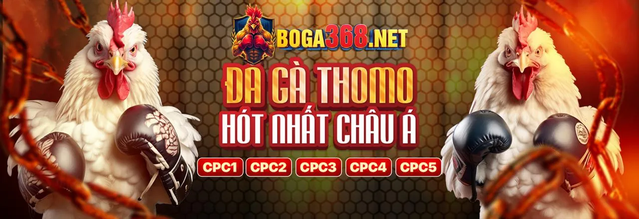 Đá gà trực tuyến kịch tính tại hi 88